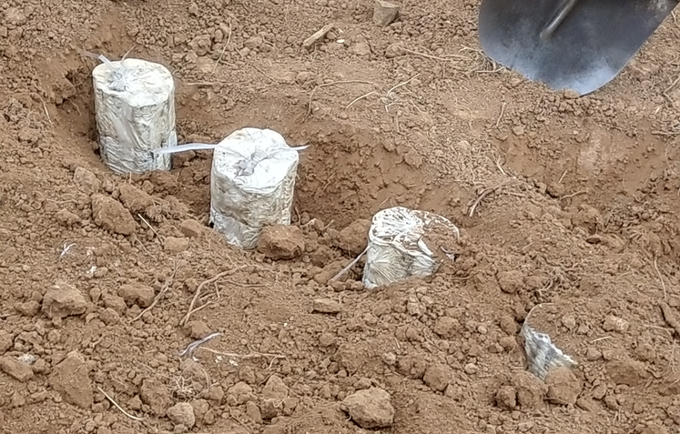 1588084174696770.png 1588084174696770.png