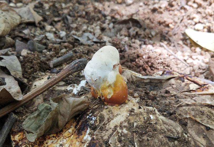 1588084302975960.png 1588084302975960.png