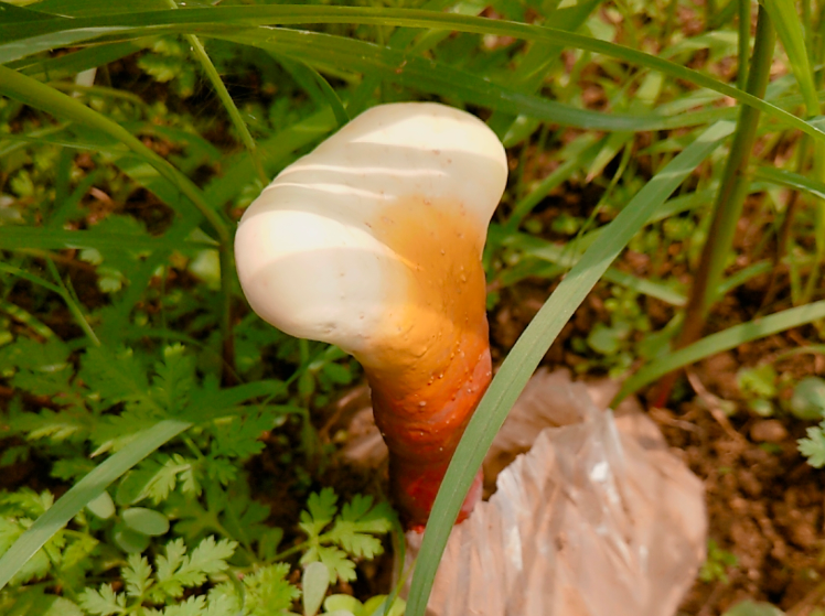 1588084335675512.png 1588084335675512.png