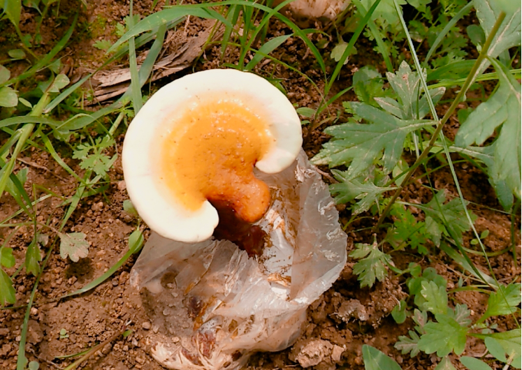 1588084362957285.png 1588084362957285.png