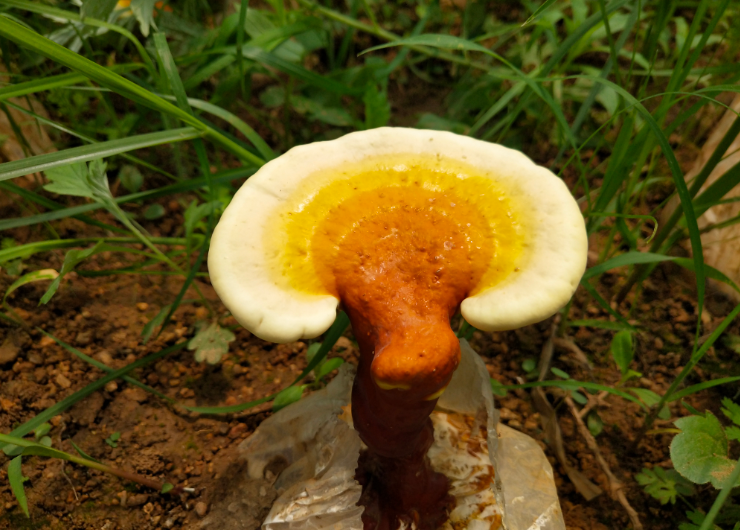 1588084380715919.png 1588084380715919.png