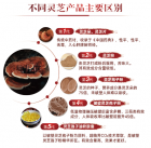 灵芝孢子油常见问题