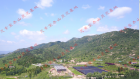 芝素堂泰山灵芝基地航空灵芝实拍（2019年8月）