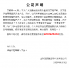 公 司 声 明
